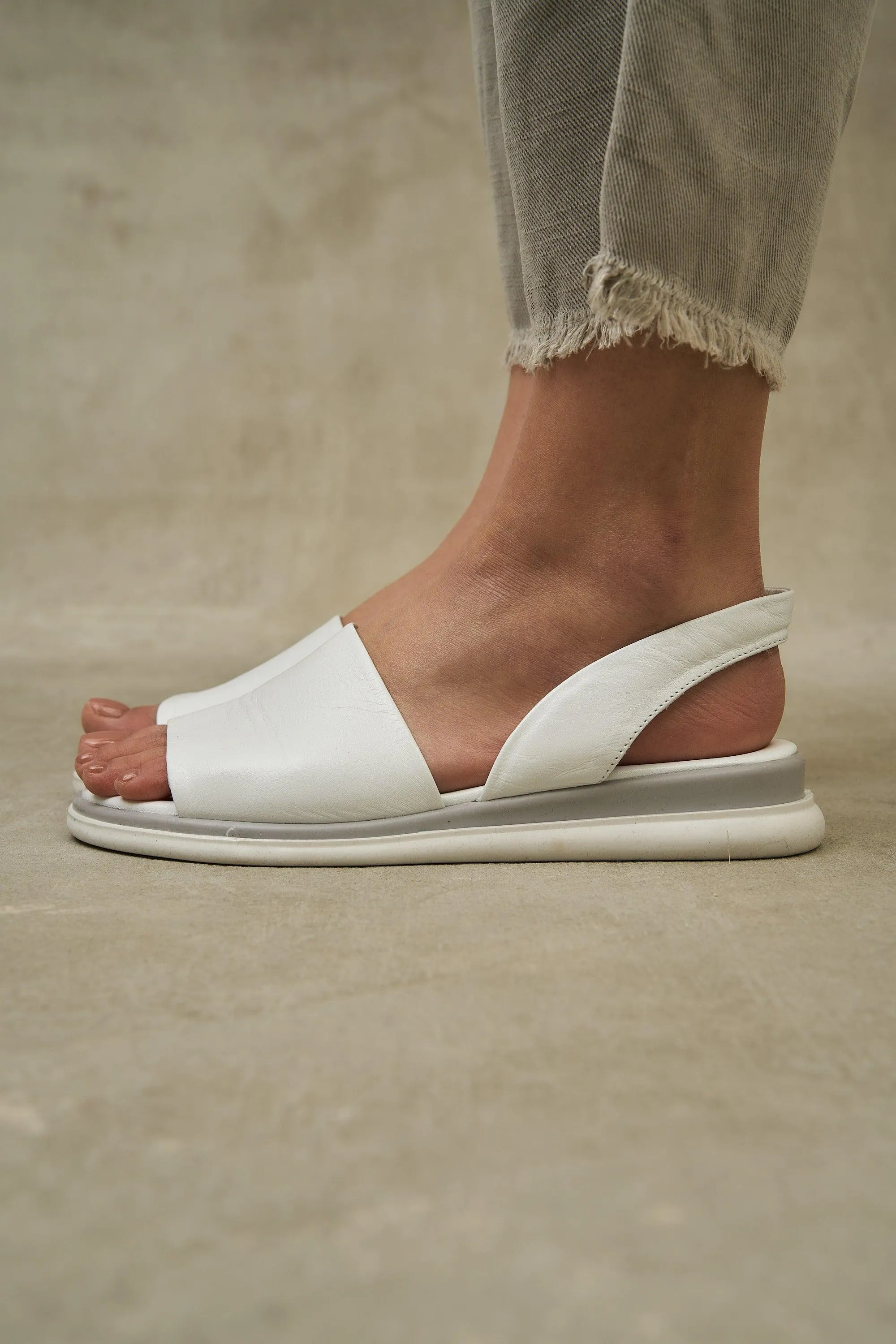 Lola Slide
