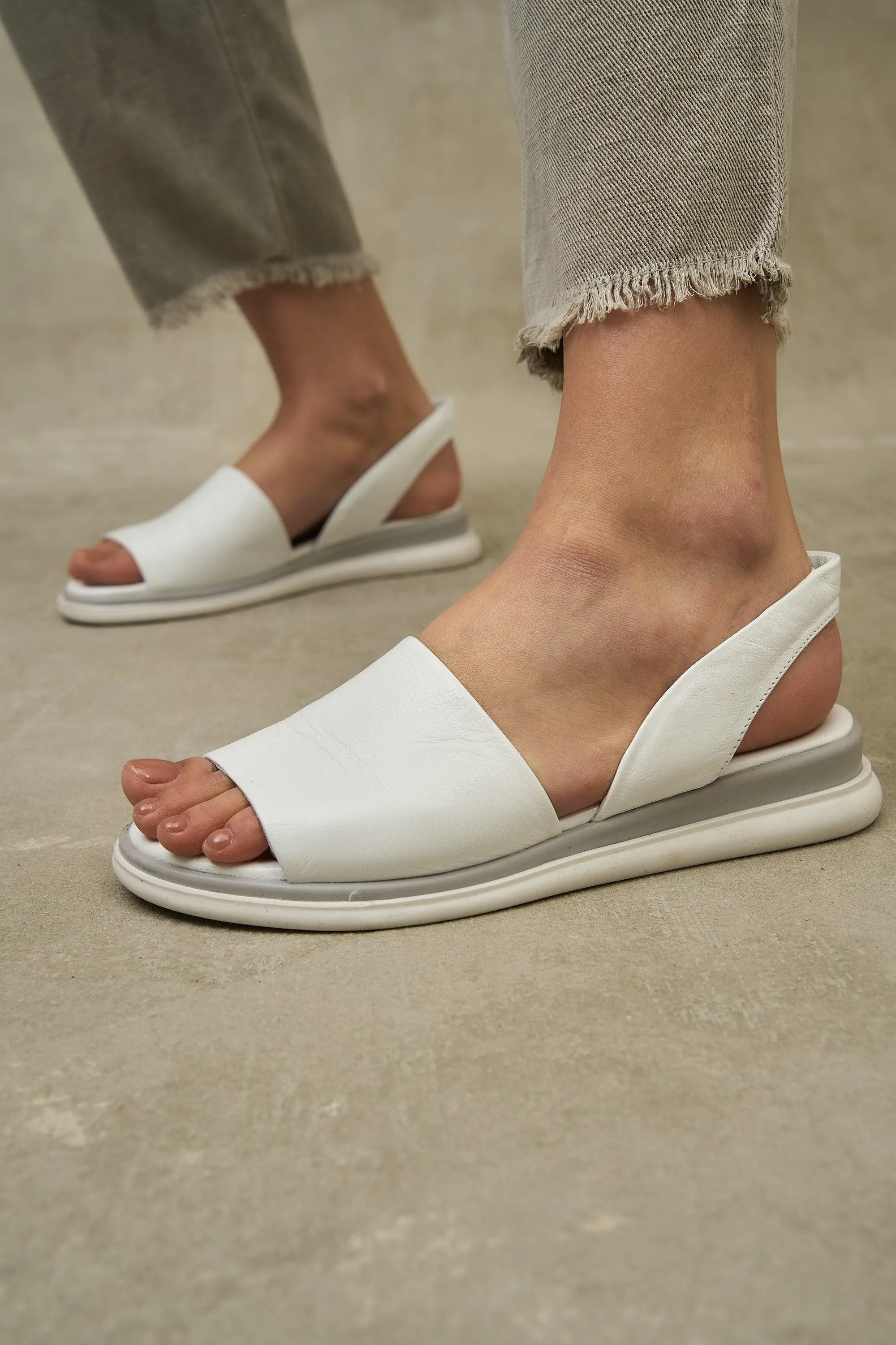 Lola Slide