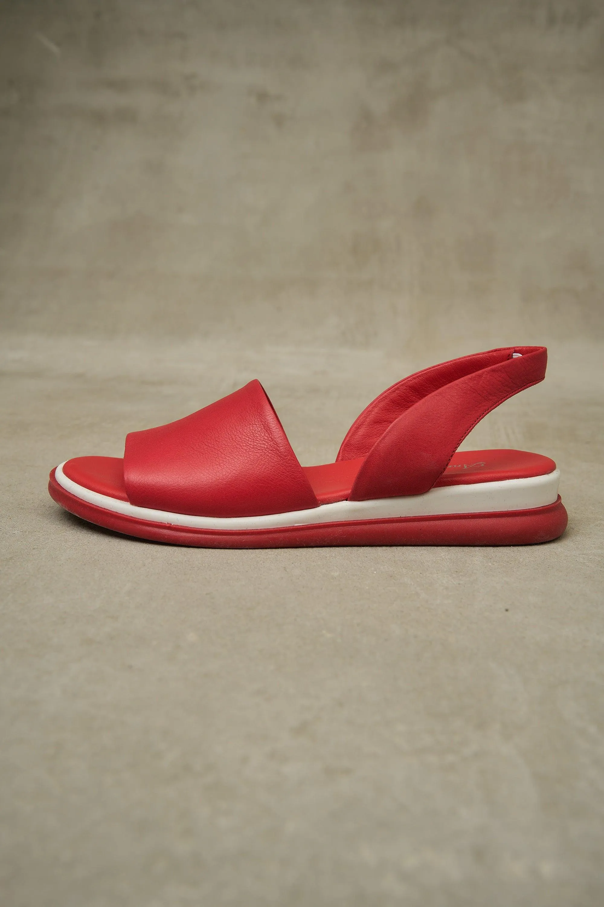 Lola Slide