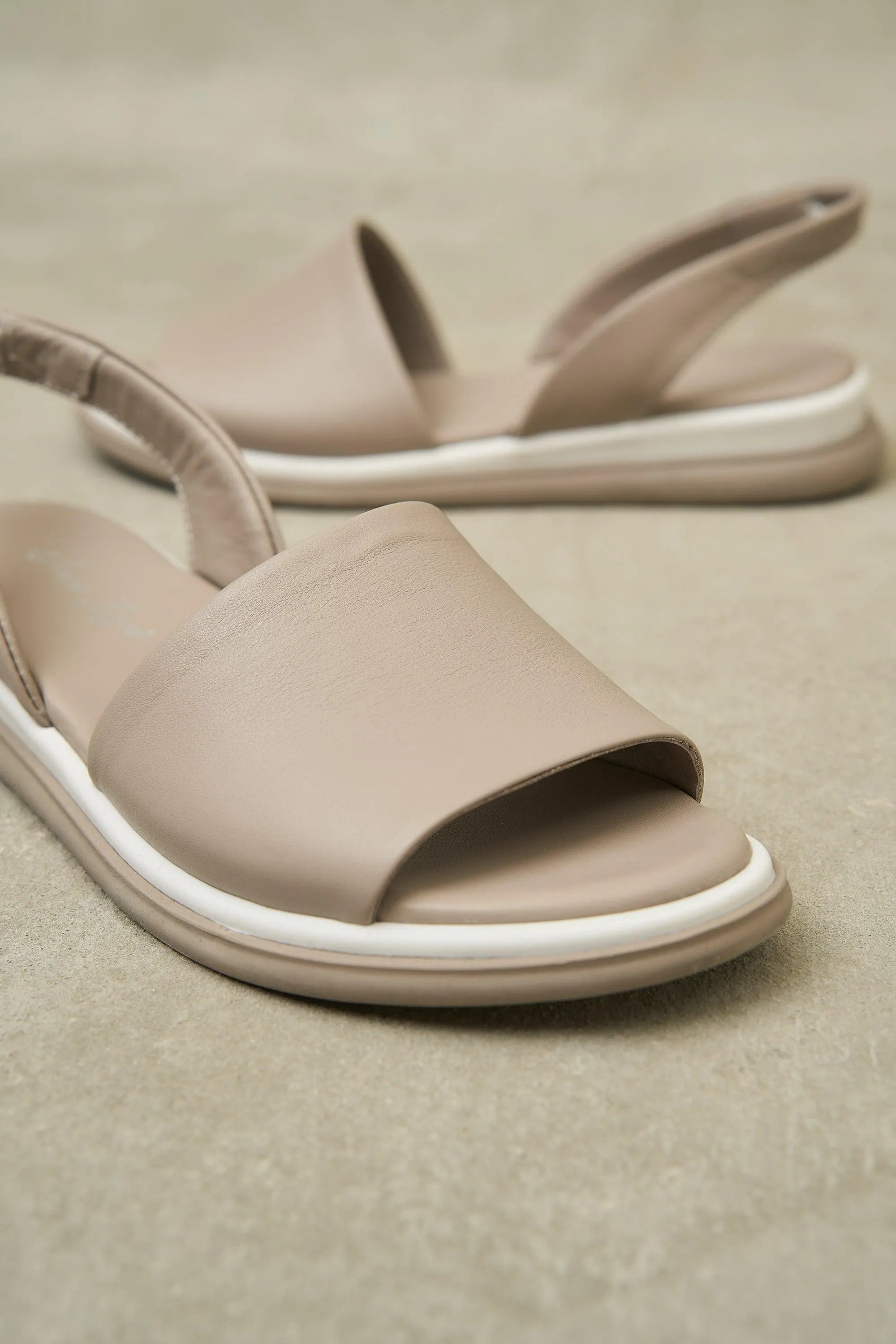 Lola Slide