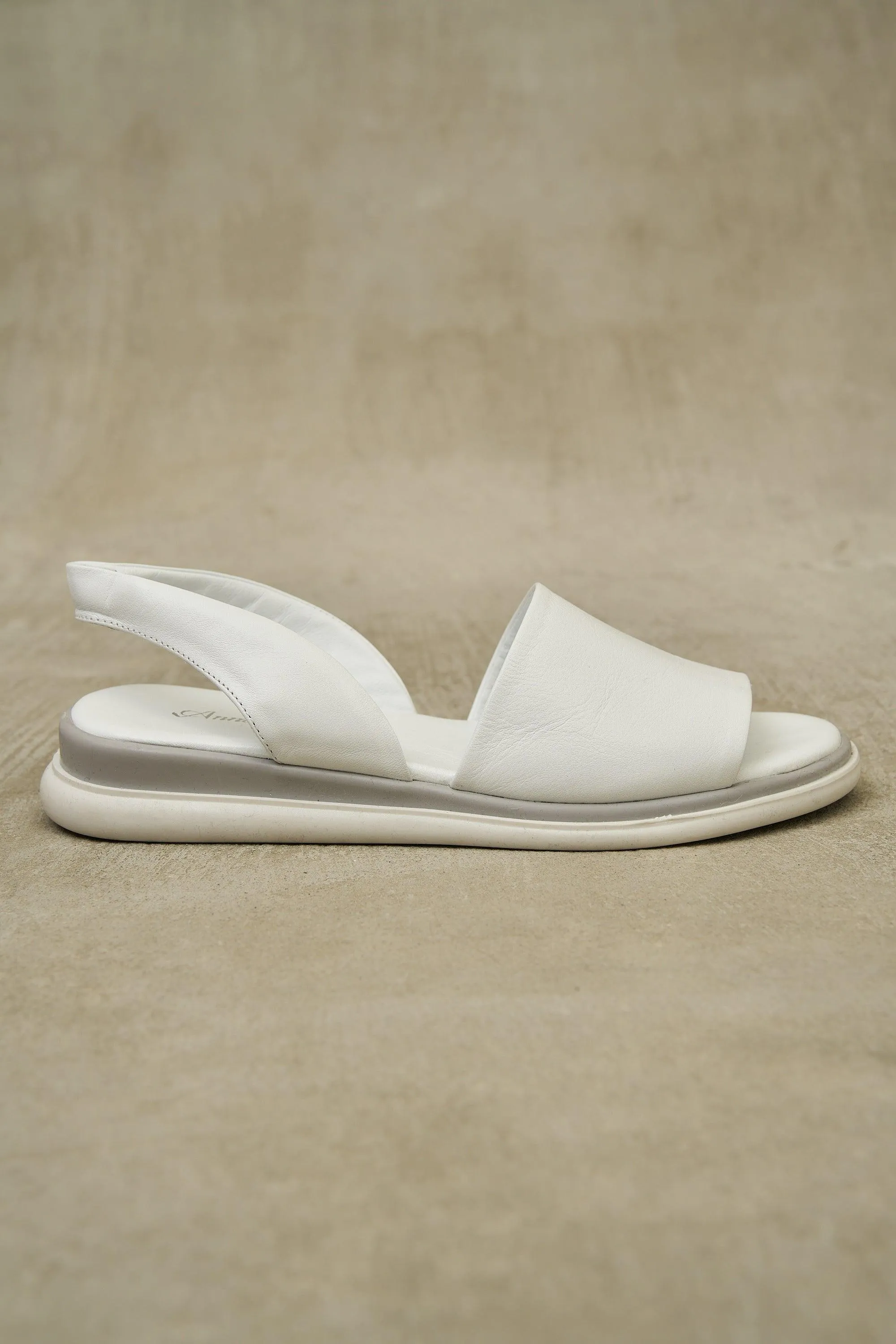 Lola Slide